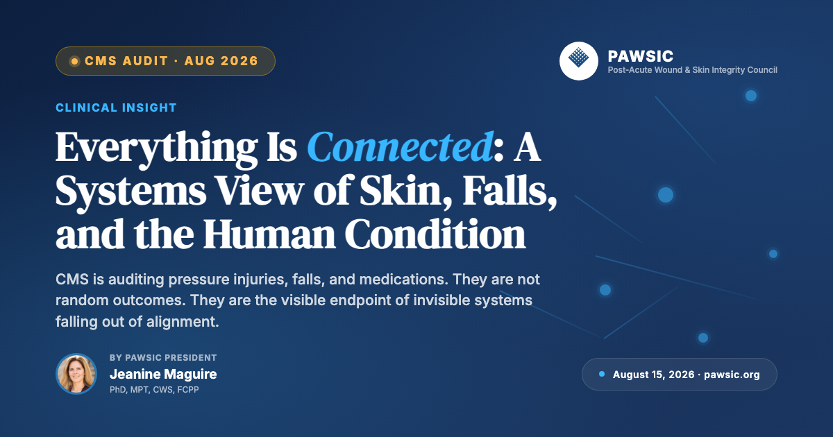 Everything Is Connected: A Systems View of Skin, Falls, and the Human Condition